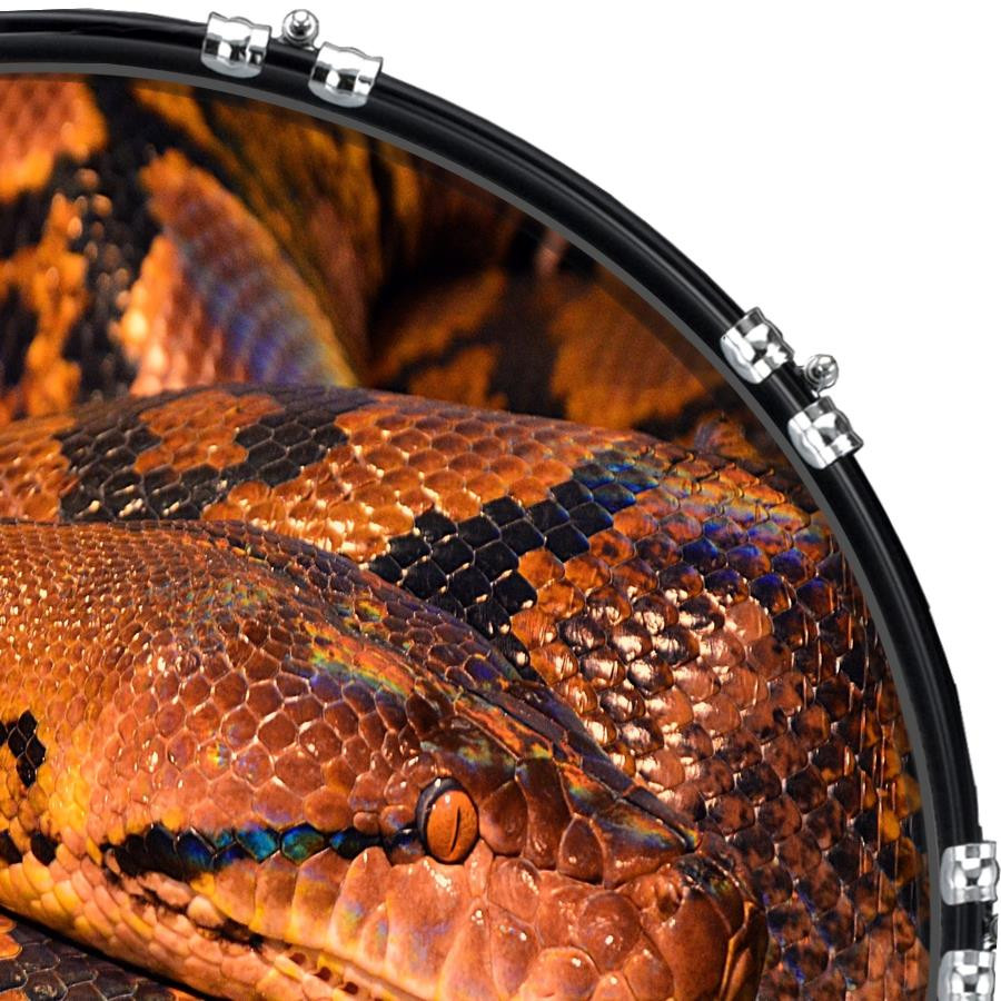 20" Custom Bass Kick Drum Front Head Graphic Graphical Snake Python 1
