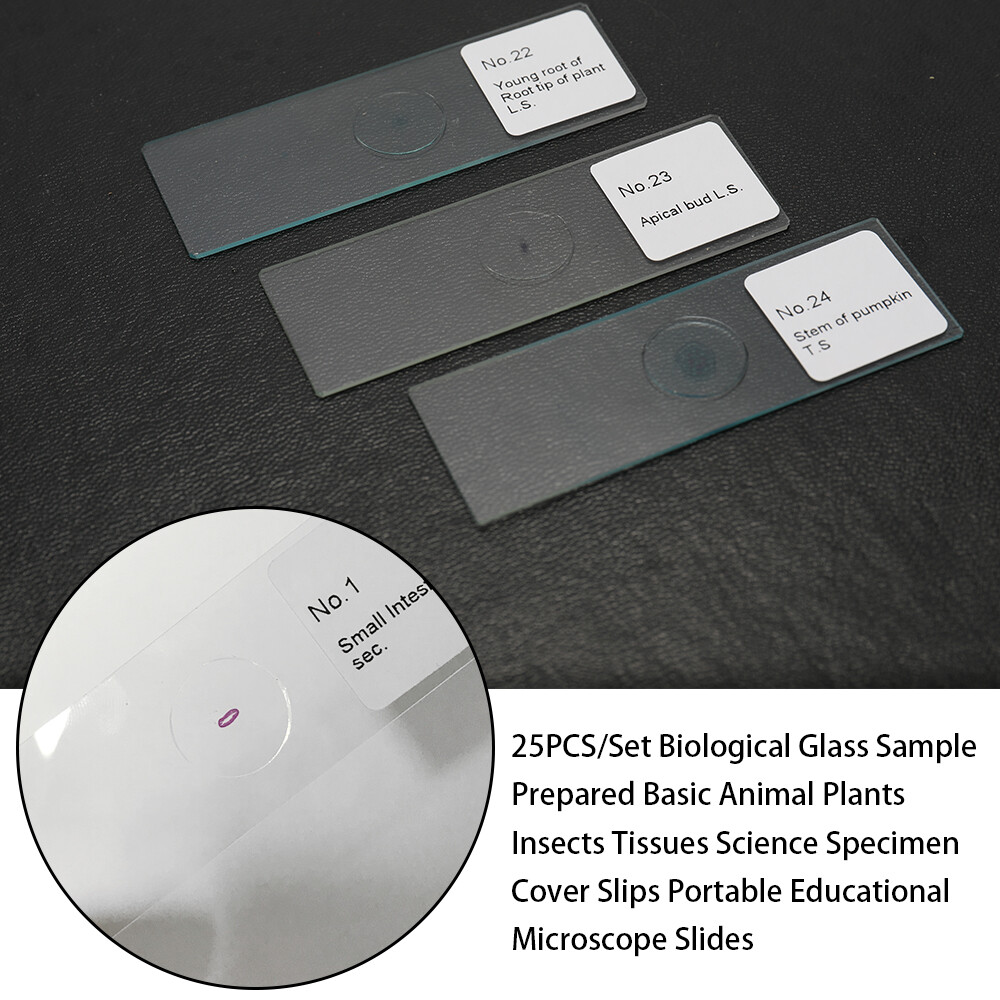 25PCS/Set Biological Glass Sample Prepared Basic Animal Plants Insects M9S9