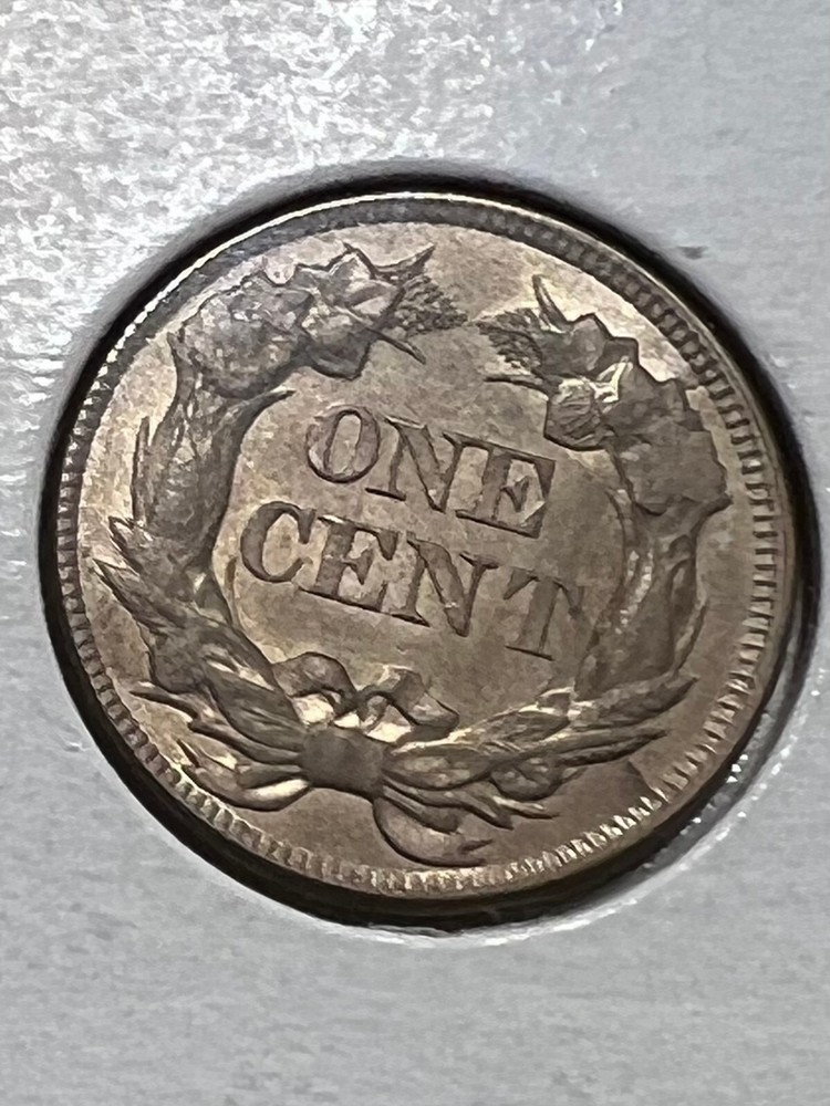 1857 Flying Eagle Copper Cent 1C Beautiful Strike!! Super Nice !!