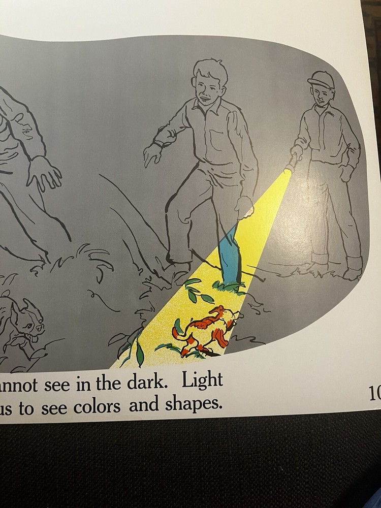 VINTAGE A.J. Nystrom Elementary science chart Fire 🔥 & Light chart 24” x18.5”