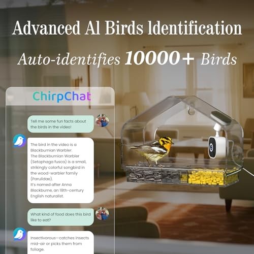Smart Window Bird Feeder Camera with AI, Modern Design for Panoramic Clear