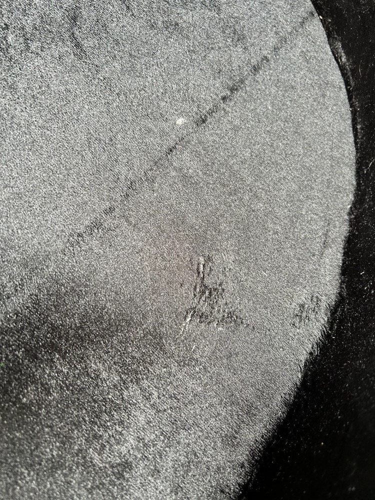 Takamine Jasmine Hardshell Case w Key