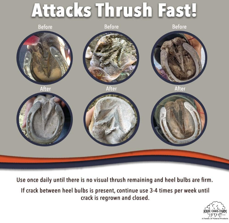 No Thrush Dry Powder Treatment for Horses by Four Oaks Farm Ventures - 2.5oz