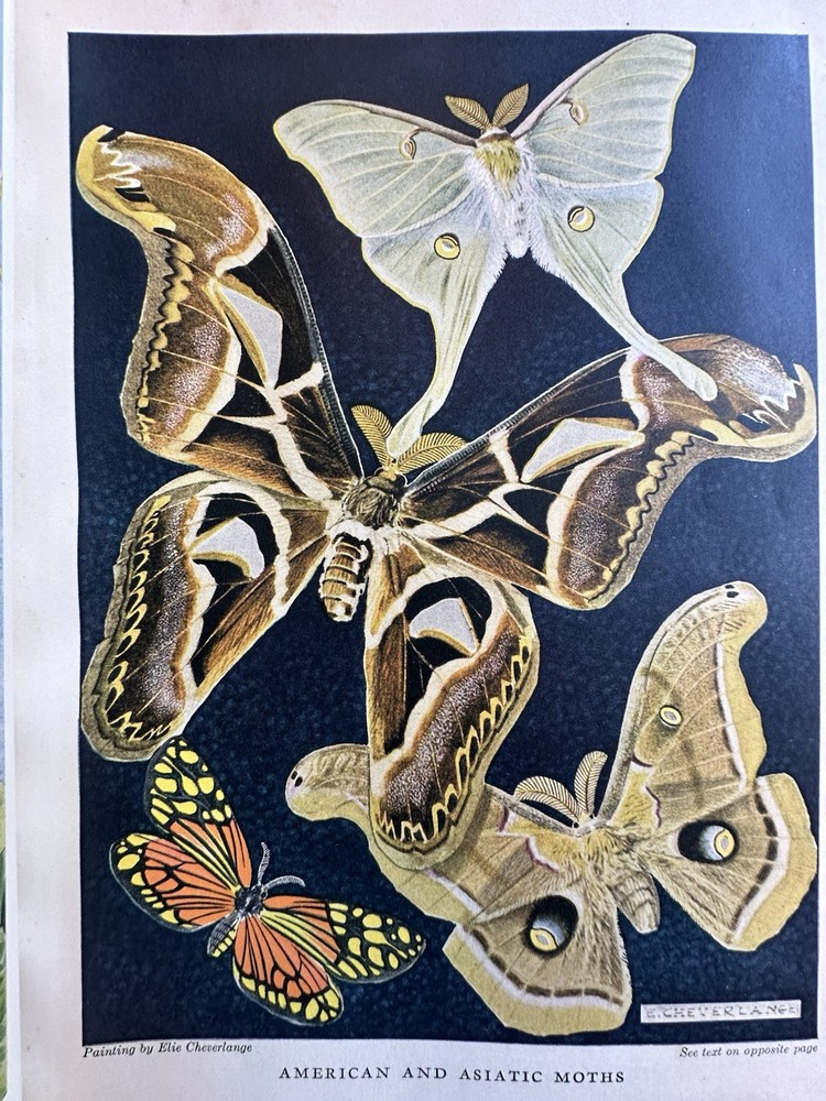 Compton's Pictured Encyclopedia, 1940 Edition, Vol 1