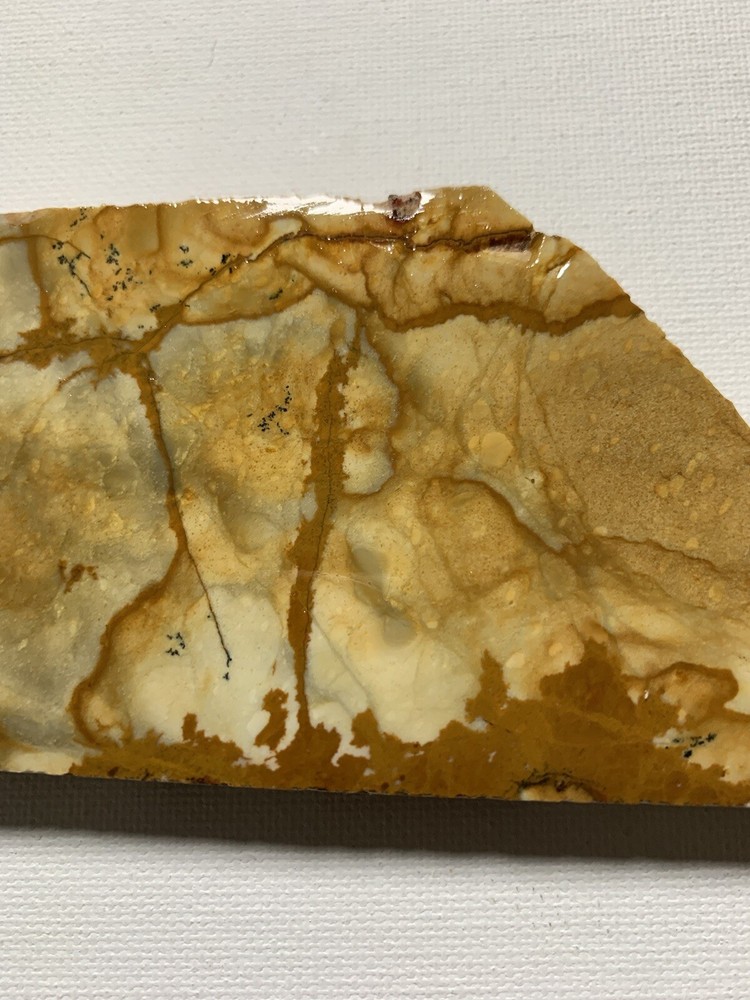 owyhee jasper slab