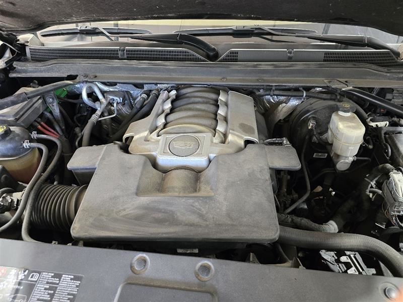 ESCALAESV 2017 Camera/Projector 590723