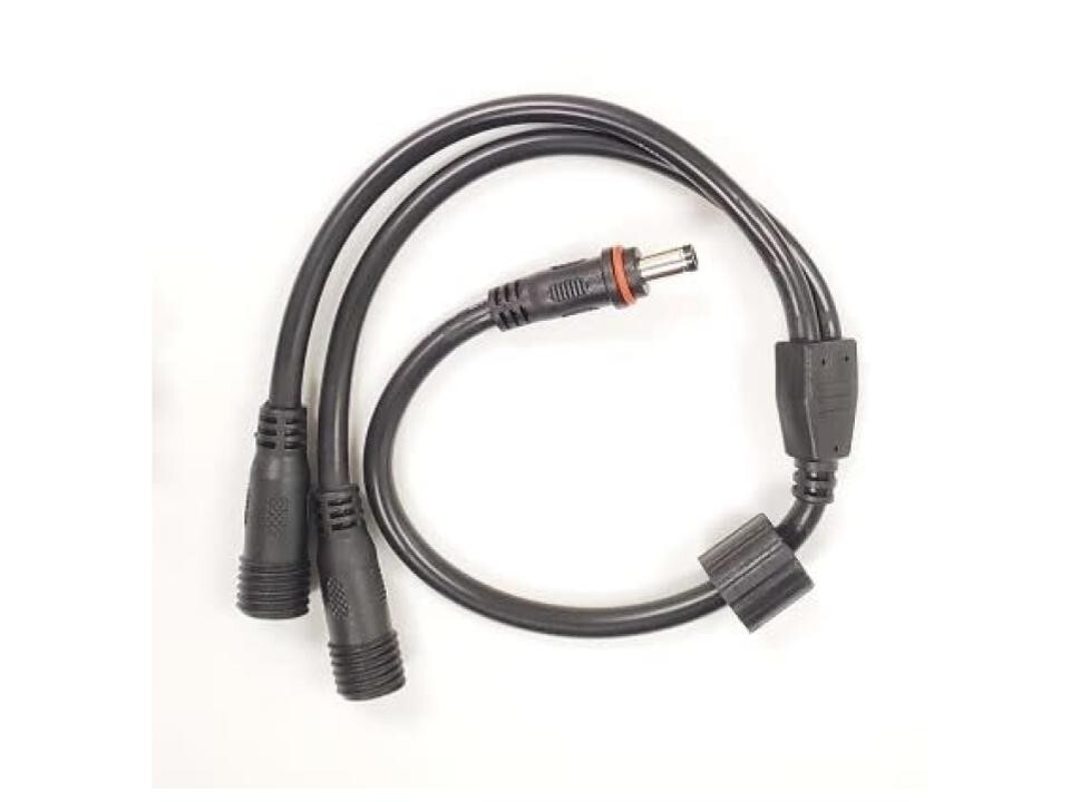 Double Pigtail, 10154