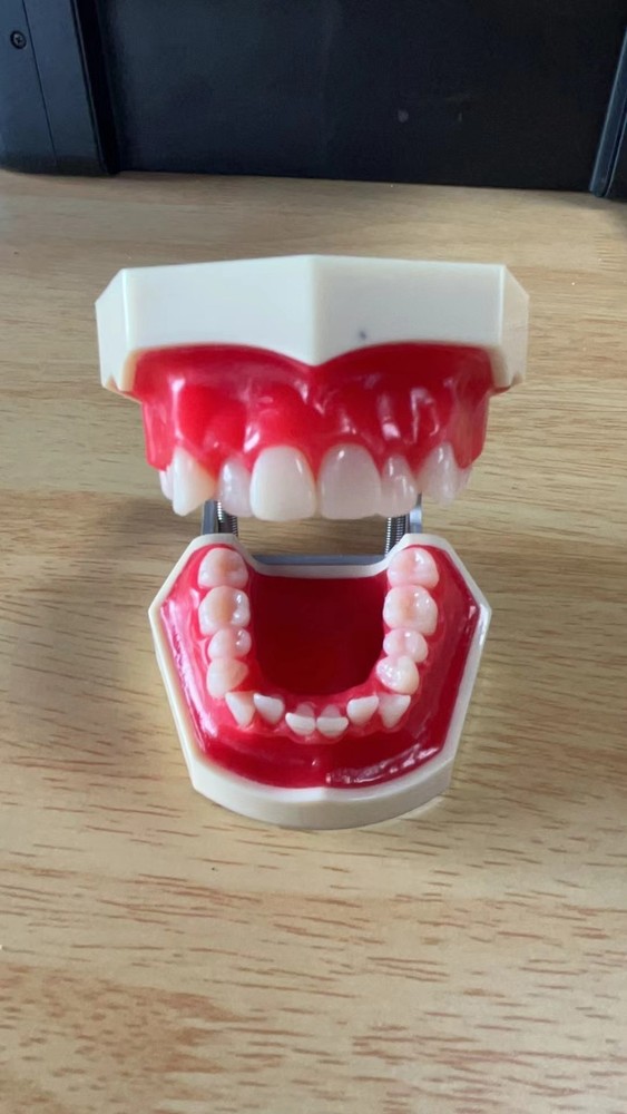 New Reusable Dental Practical Training Model/typodont/orthodontics Wax Model