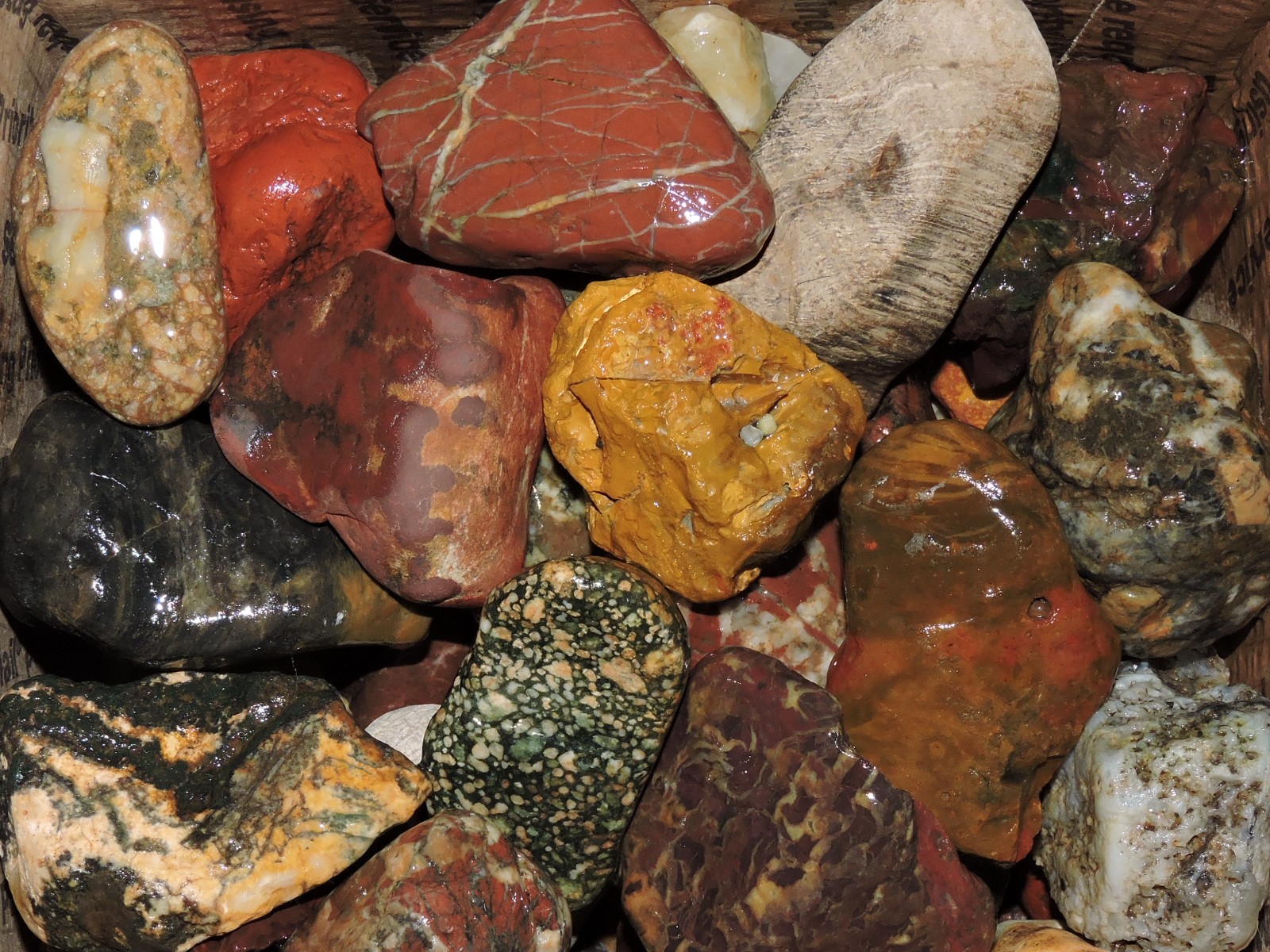 Lot of 🌈 Tumbler Size RAINBOW MIXED STONES from PNW (11.5 lbs) WEST COAST ROCKS