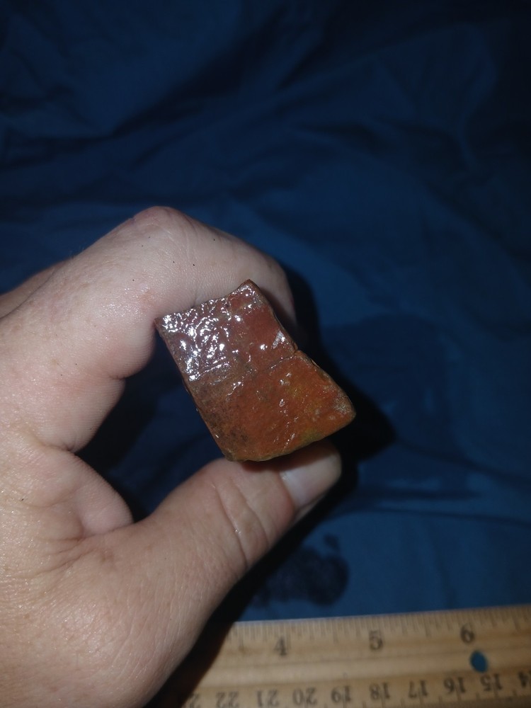 5 oz Agatized Petrified Wood