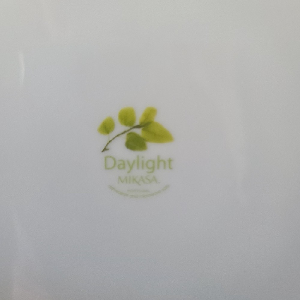 Mikasa ~ Daylight ~ 11" Dinner Plate READ