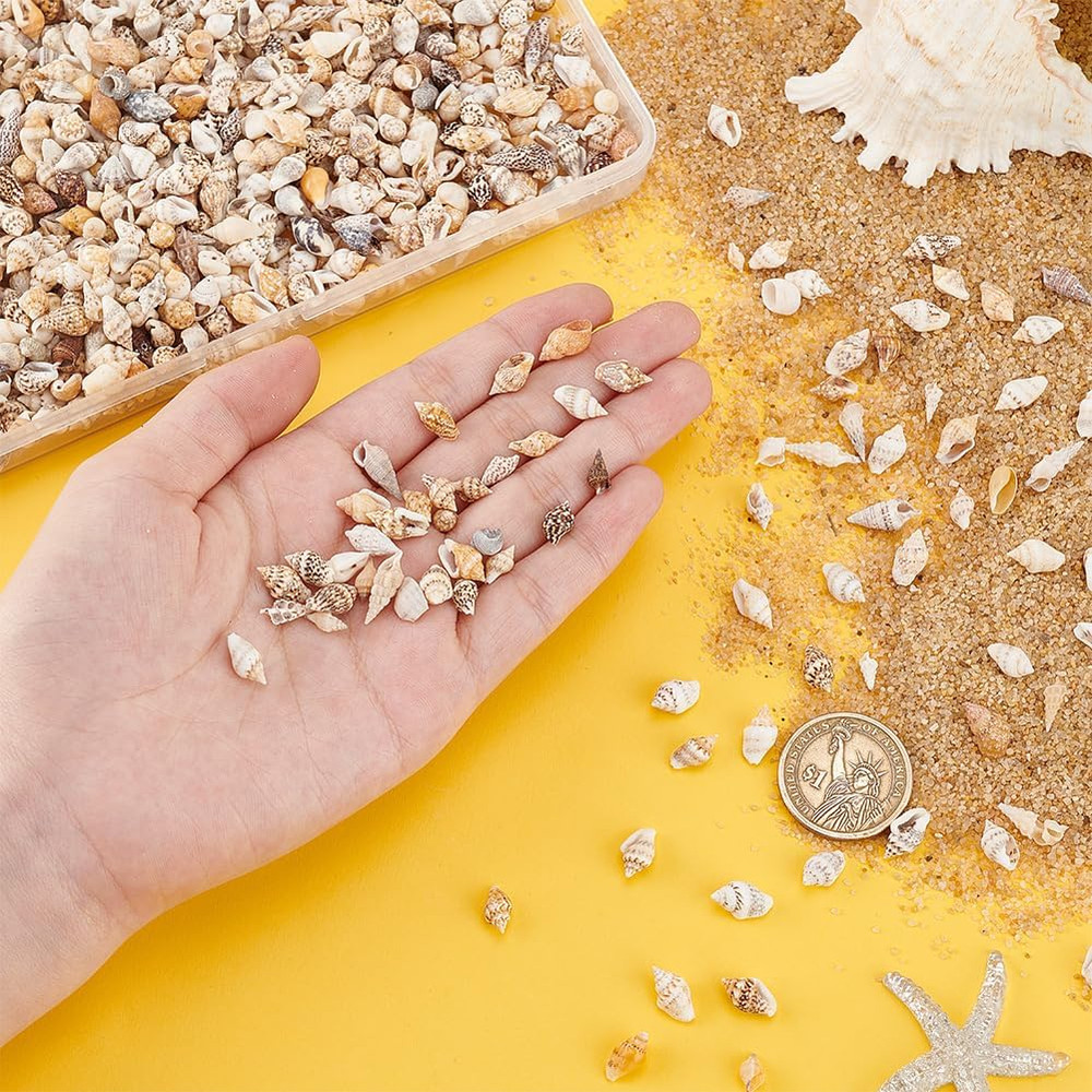 1400-1500Pcs Tiny Sea Shells 7-12Mm Tiny Crushed Shells Miniature Shell NO Hole