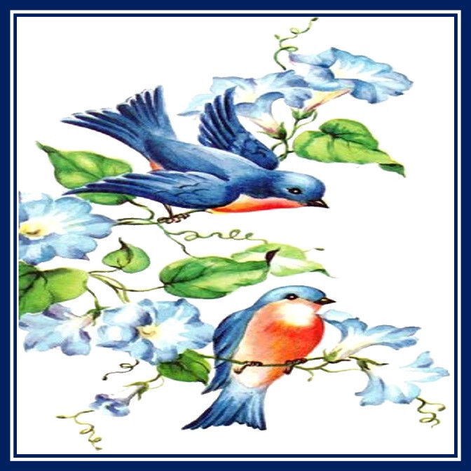 30 Custom Bluebirds Personalized Address Labels