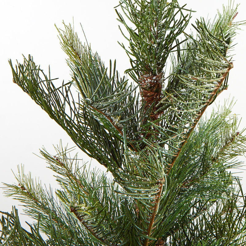 24" Icy Artificial Pine Topiary Tree in White Planter