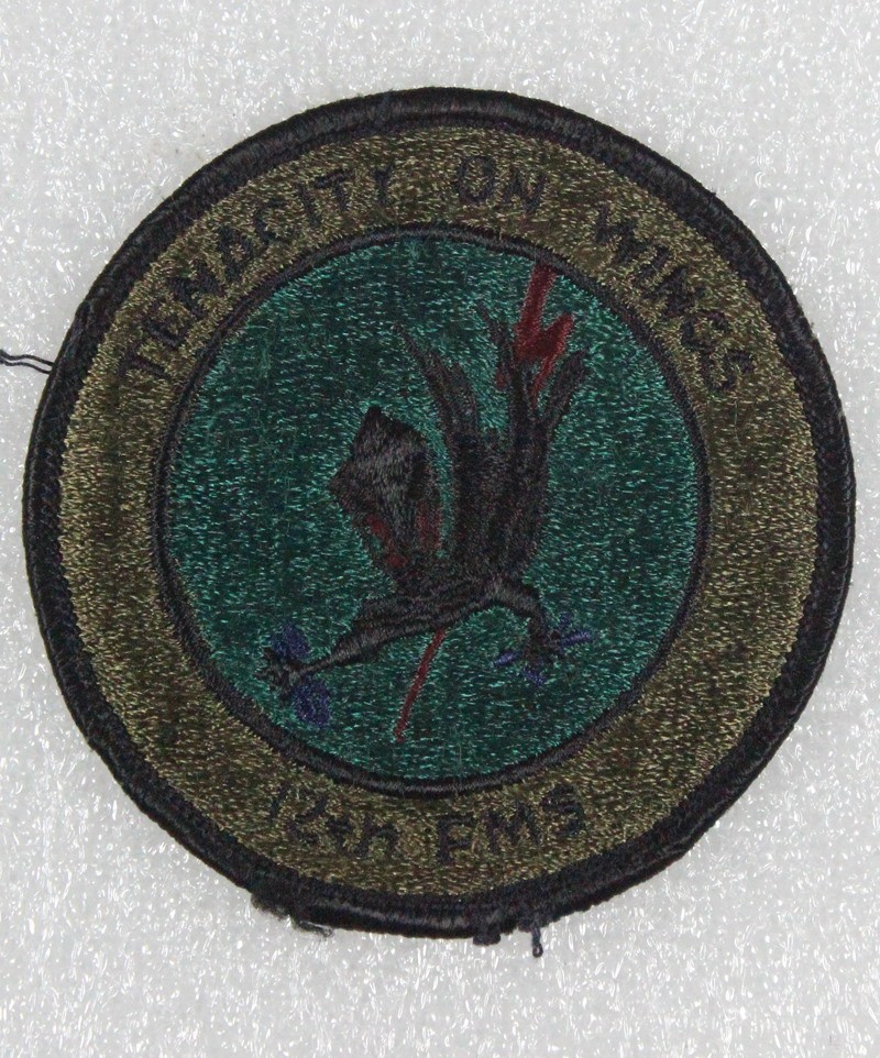 USAF Air Force Patch: 12th Field Maintenance Squadron - subdued