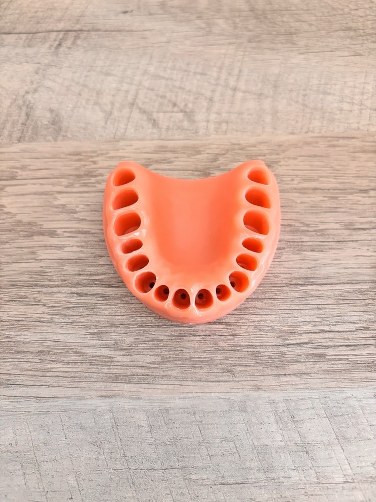 Acadental ModuPRO Typodont One & Practice Kit with Removable Teeth