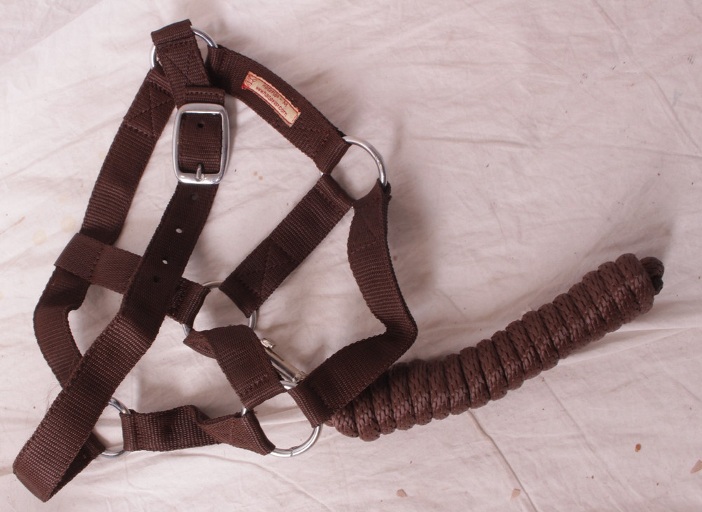 NEW HalterUp Halter Up Medium halter & mini lead - solid brown chocolate