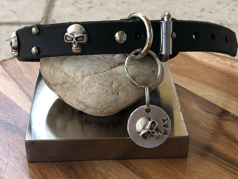 The "skull" Dog Tag