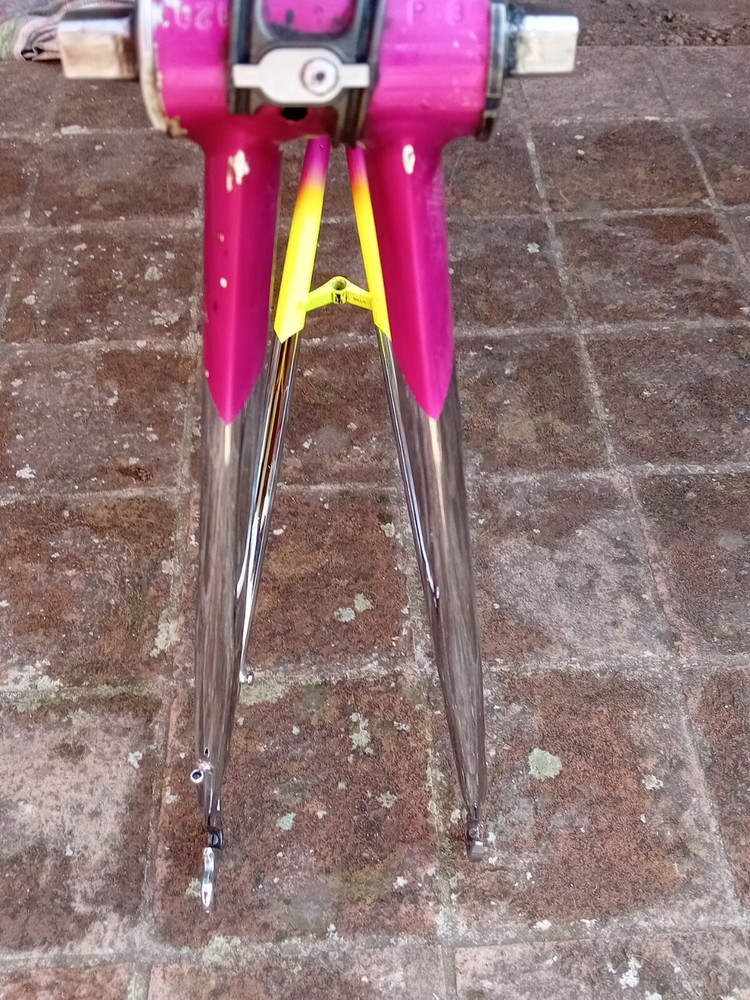 Moser Leader Ax Evolution Vintage Campagnolo Seatpost Fork Frame