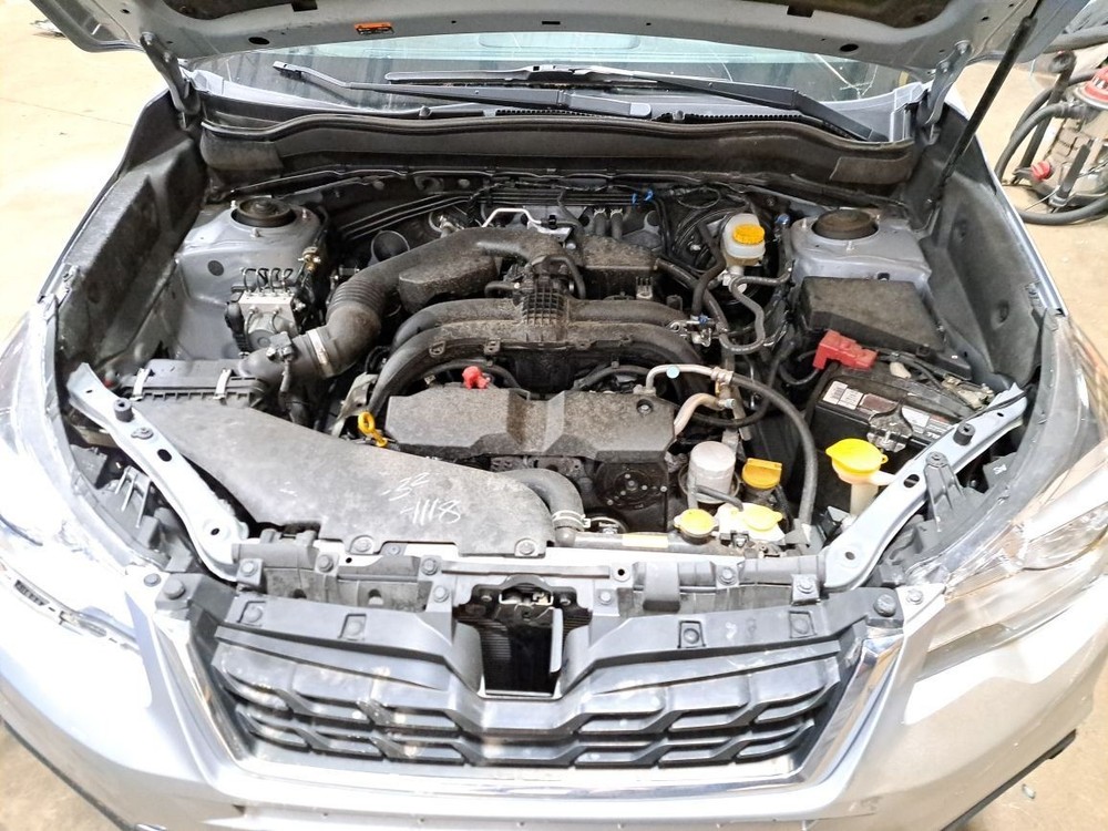 2018 Forester Jack Sku#4237533