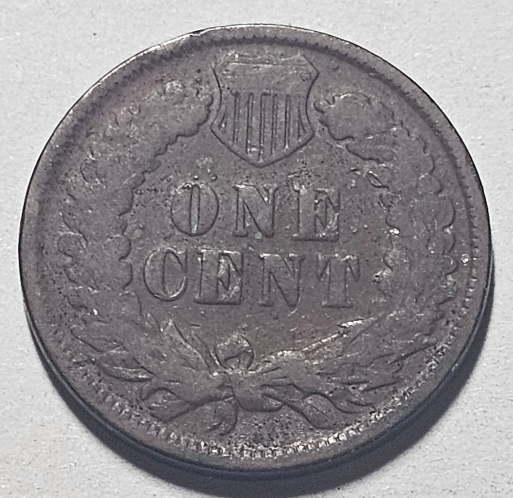 1898 Indian Head Cent (#D)