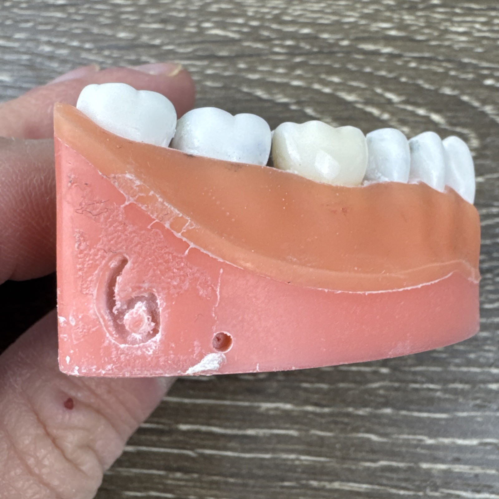 Acadental ModuPRO MP_R320 Restoration Typodont & Case WREB CDCA ADEX Teeth #54