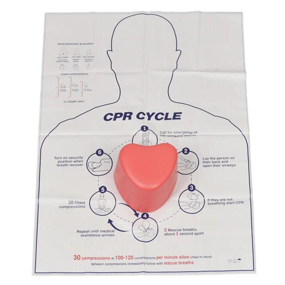 CPR Practice Model Nursing Teaching Tool Heart-shaped Lightweight Sturdy