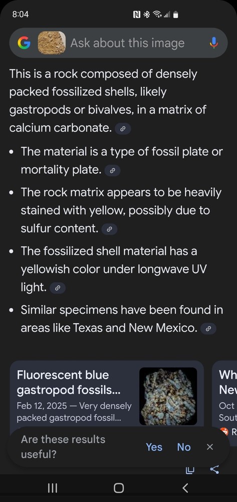 About 11 pound 14 oz Triangular Densely Packed Fossilized Shells Rock thatStands