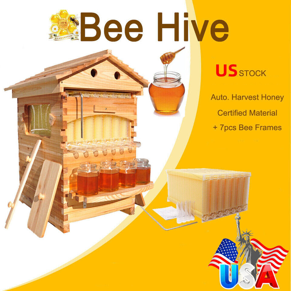Golden Palace Auto 7PCS Beehive Honey Hive Frame +Cedarwood Beekeeping Brood Box