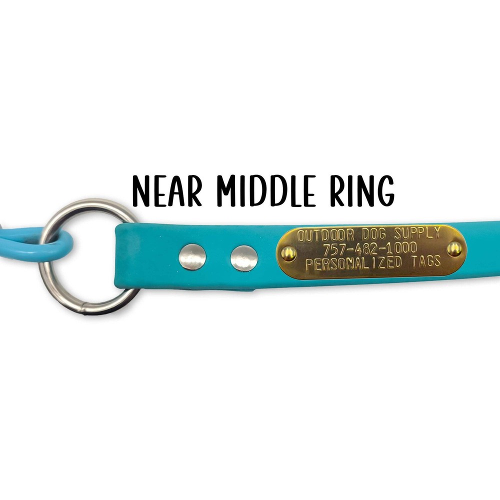 5 ft Beta & Cable Lead Leash