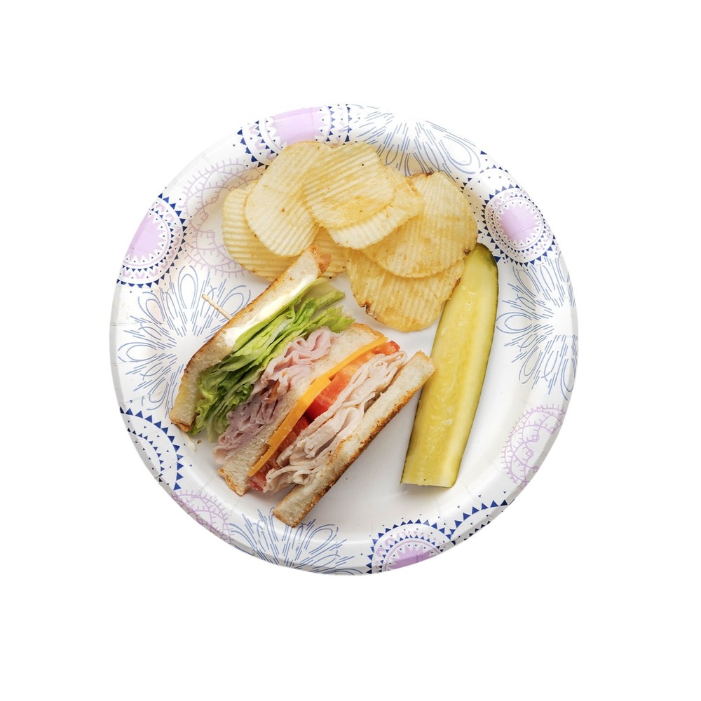 Great Value Disposable Paper Plates, 8.5", 300 Count