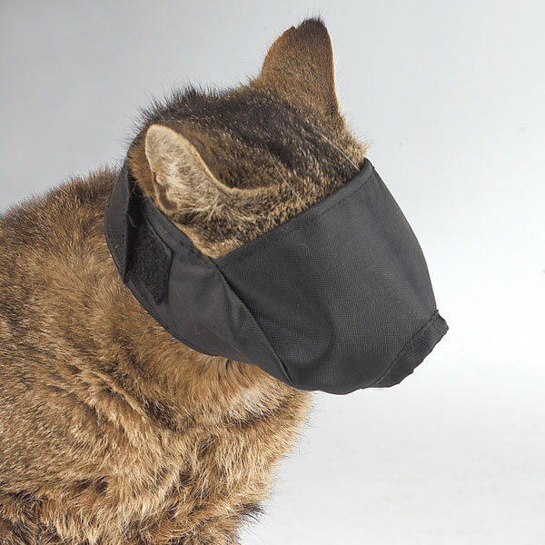 Top Performance CAT Comfort MUZZLE LINED Quick-FIT ADJUSTABLE VET Visit GROOMING