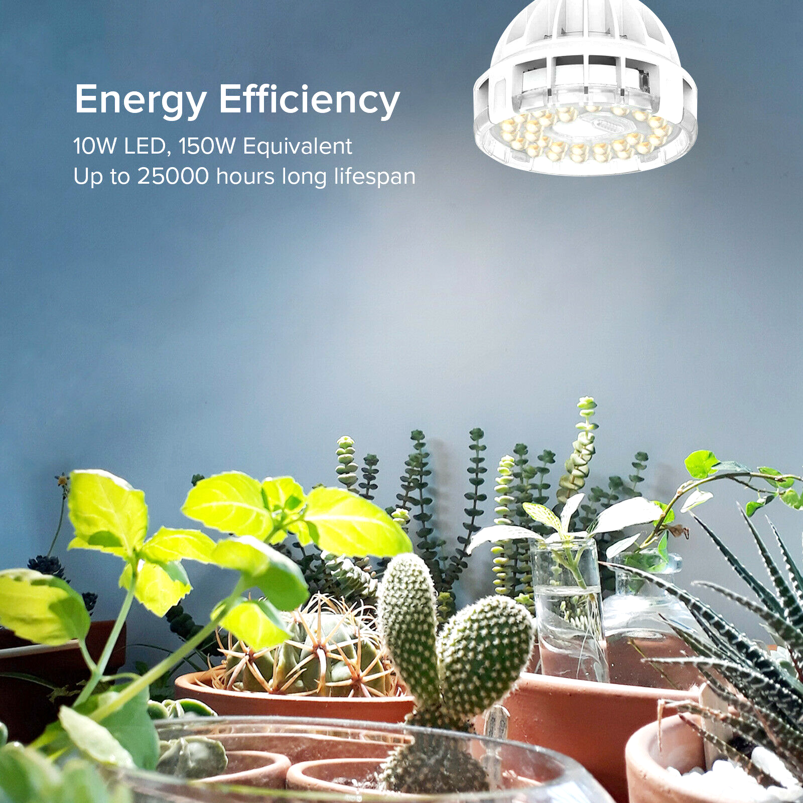 SANSI 10W LED Plant Grow Light Bulb Full Spectrum Veg indoor Plant E26 USED