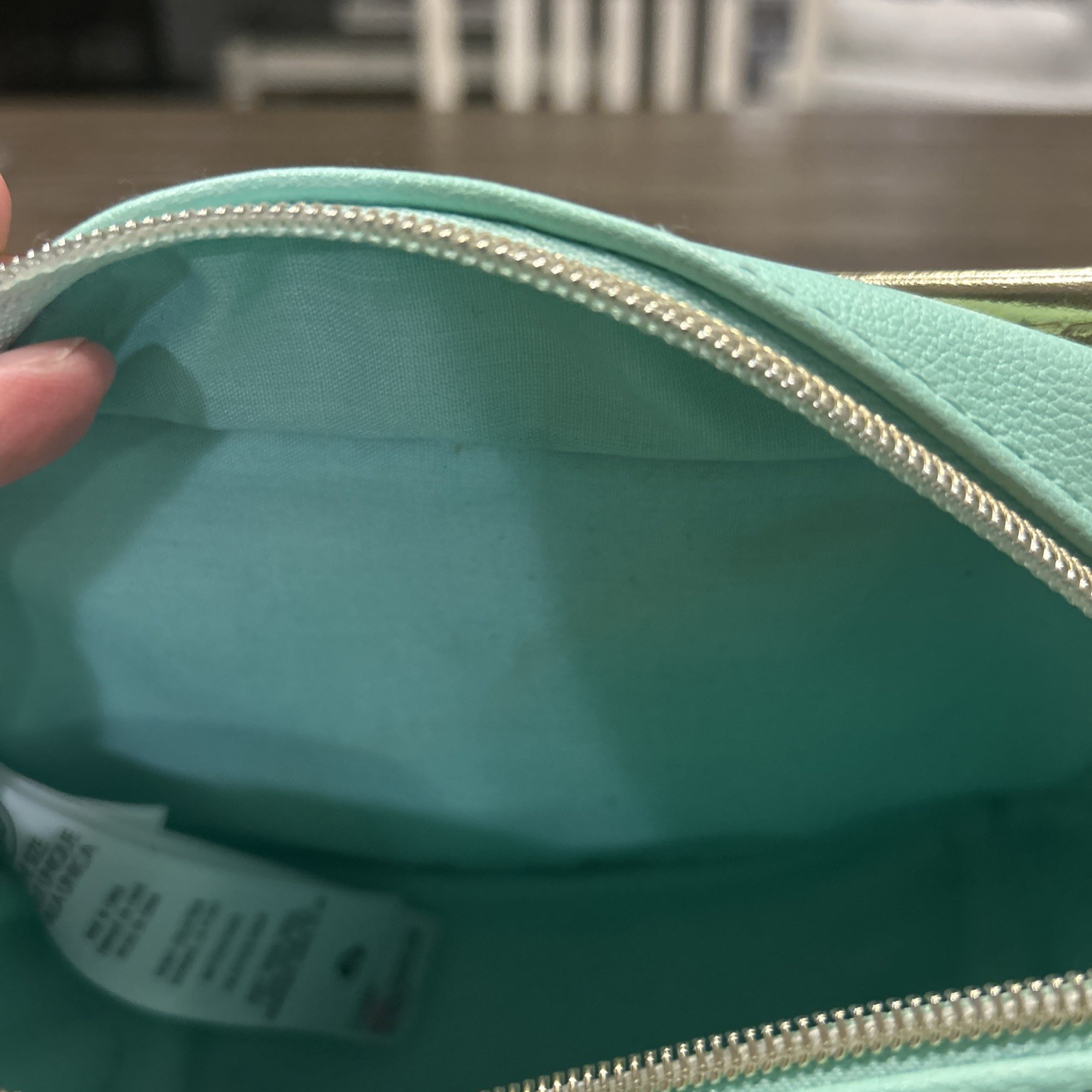 Disney Jasmine & Rajah Beautiful Crossbody Bag Danielle Nicole Teal Sparkle EUC