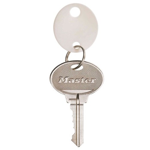 MasterLock 7116D Oval-Shaped Plain Plastic Key Tags, 20 Tags/Bag