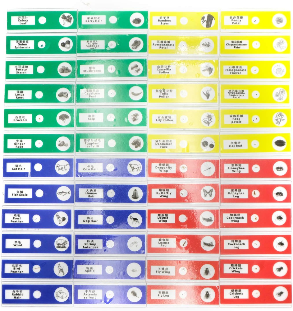 48Pcs Prepared Plastic Microscope Slides Biological Specimen with 4 Boxes for Ch