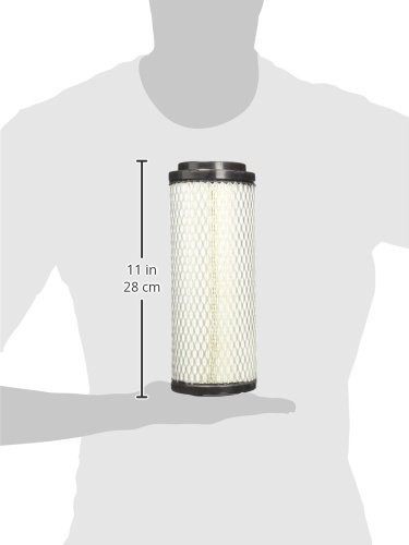 Radial Seal Air Filter