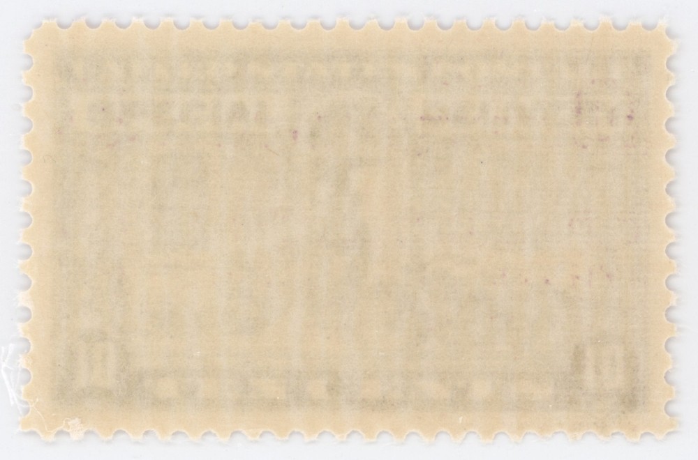 US #E15 | Mint NH | Extra Fine