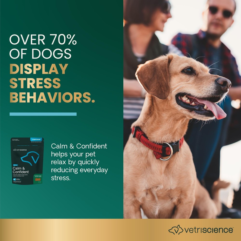 VetriScience Calm & Confident Chews, Composure Clinically 60 60 Chews