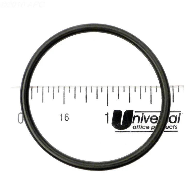 O-Ring, Bottom