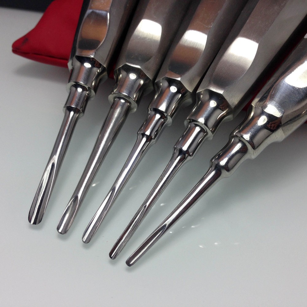 10 Pcs Dental Luxating Luxation Root Elevator Autoclavable Extraction Apical