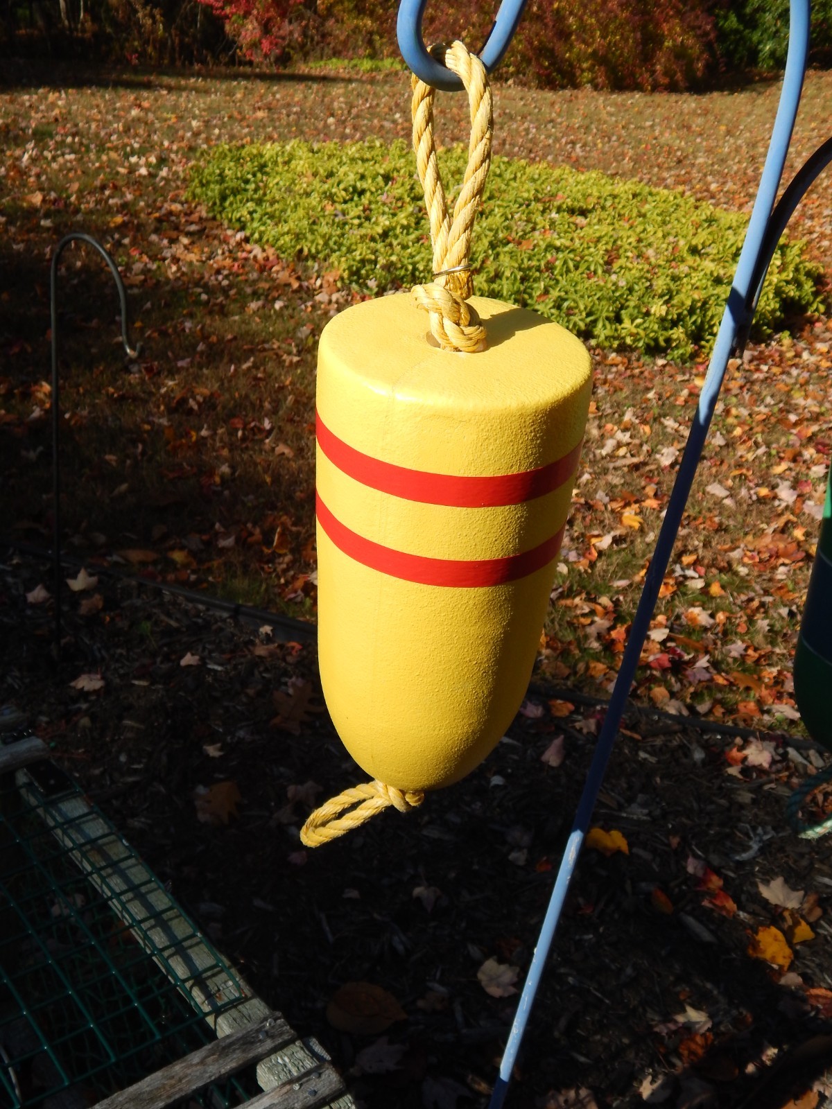 FREE SHIP 205 Maine Lobster BUOY nautical pot bouy float shore crab Lake CAPE