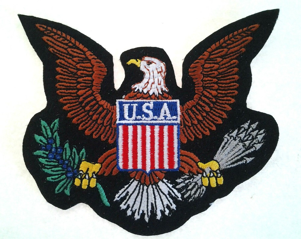 USA EAGLE (4-1/2") Military Patch PM5253 EE