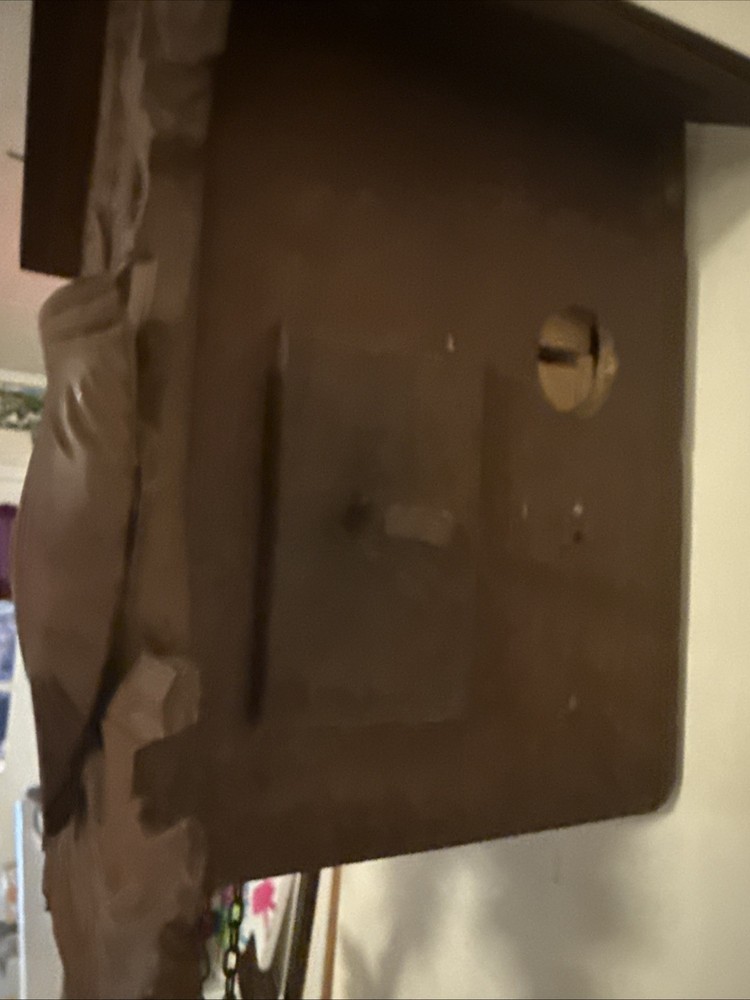 GERMAN CUCKOO CLOCK 100% WORKING CONDITION