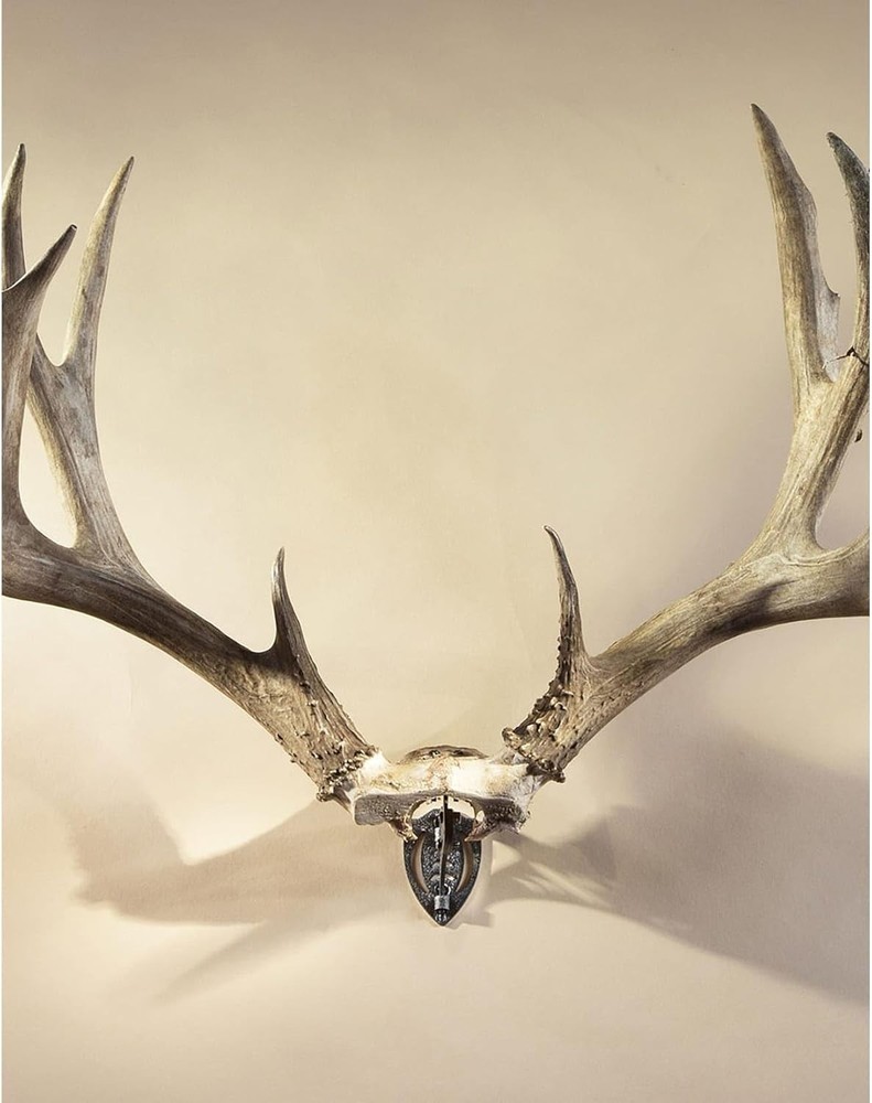 Bone Bracket Small and Medium Game
