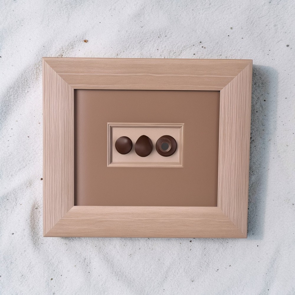Framed Wall Art with Seashells Framed Ocean Art