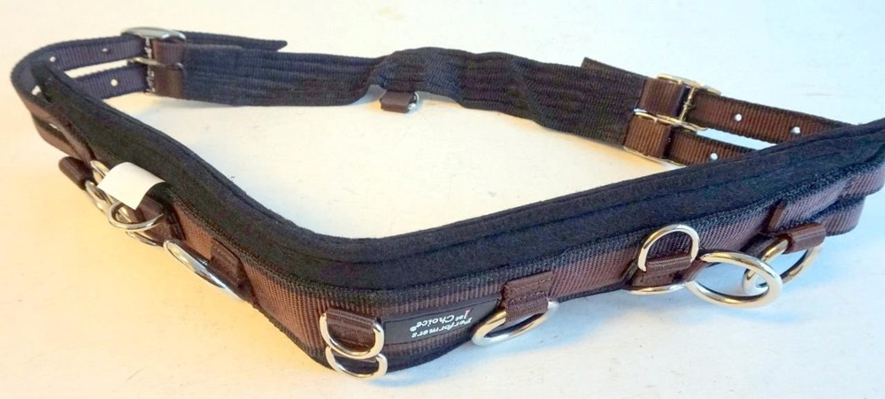 Multi Ring Training MINI Horse Nylon Neoprn Surcingle w/webbing & Comfy Padding