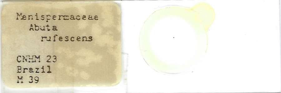 Abuta rufescens Pollen Microscope Slide