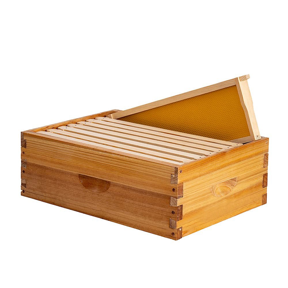 8 Frame Langstroth Bee Hive Coated with Beeswax Includes Beehive Frames