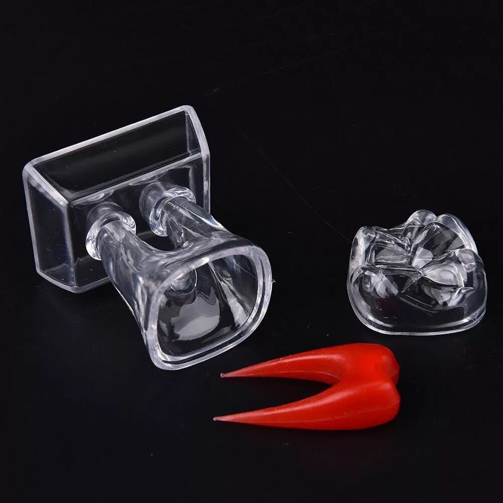 Dental Lab Crystal Base Hard Plastic Teeth Tooth Molar Model Separable For Study